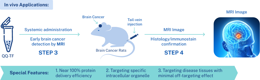 In vivo applications